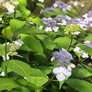 Meet your Posher, Mackenzee